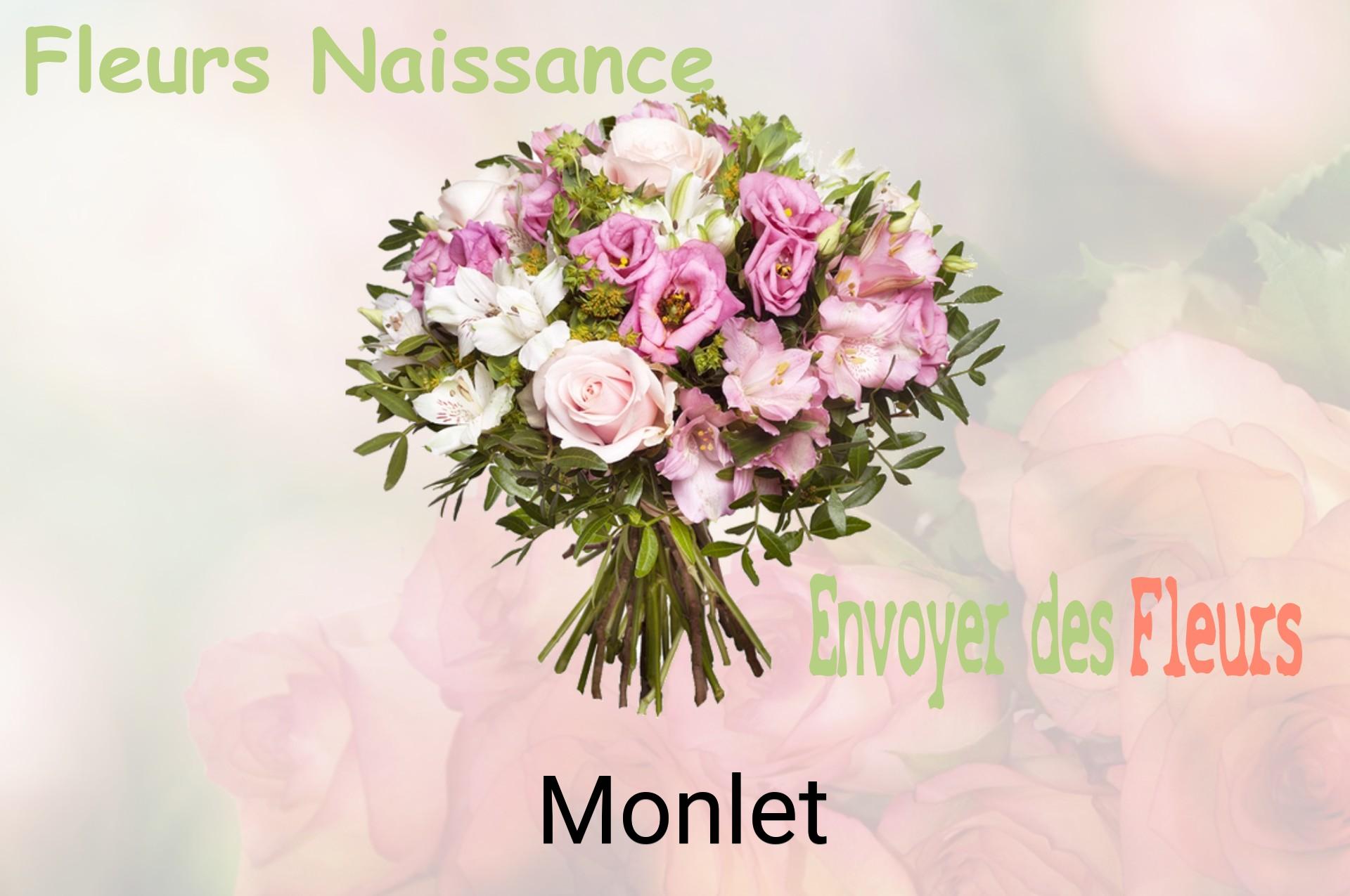 Bouquet de fleurs de naissance livré à Monlet